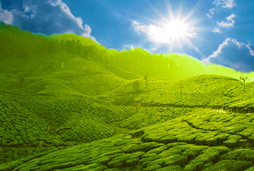 Munnar
